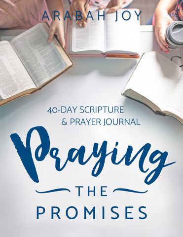 Original Praying the Promises 40-Day Prayer Journal