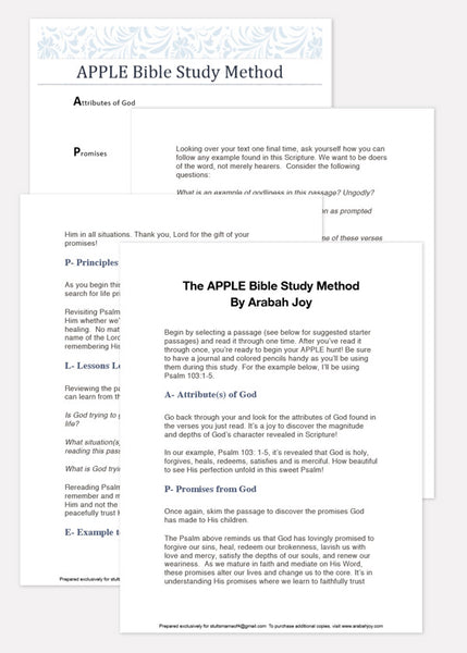 The APPLE Bible Study Method
