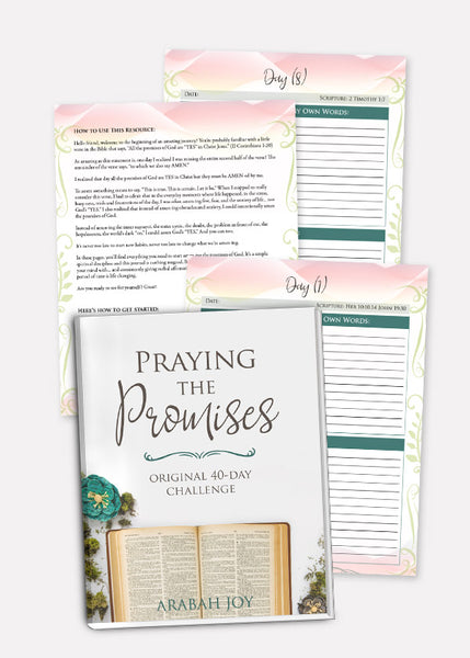 Original Praying the Promises 40-Day Prayer Journal
