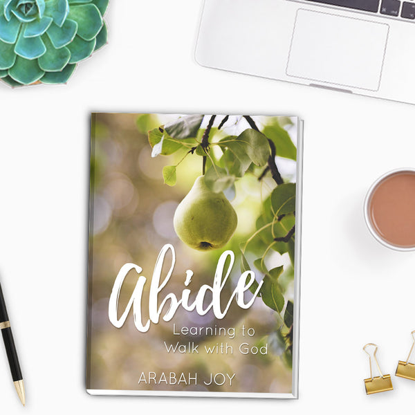 ABIDE: A Mini-Course for Walking with God and Living From Your Identity in Christ